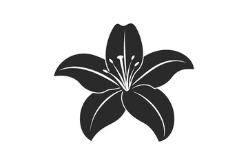 Lily Flower icon silhouette vector illustration