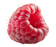 © ALF photo - framboise en gros plan