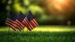© shadow - Patriotic display of three American flags in natural grass with bokeh backdrop