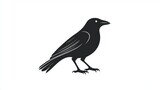 Silhouette of a crow, vector graphic, for use in design