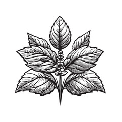 basil leaves with single line art flower
