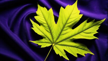 Wall Mural - Vibrant leaf on draped fabric