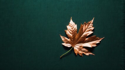 Wall Mural - Autumn leaf on deep teal background