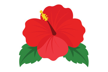 Red Hibiscus Flower vector icon, hibiscus flower clip art illustration on White Background
