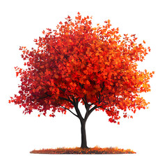 vivid autumn tree red orange leaves autumn leaves isolated on transparent background, high quality p
