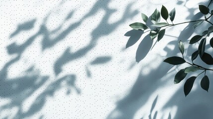 Fototapete - Shadow patterns from leaves cast on a textured white surface during daylight create a serene and calming effect in a minimalistic setting