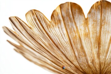Aufkleber - Elegant fan-shaped green leaf with intricate details displayed against a plain background, highlighting its natural beauty and structure