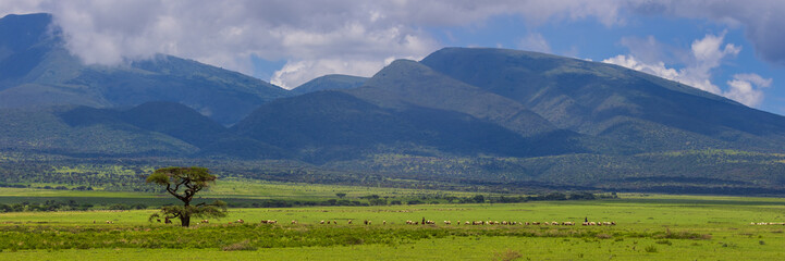 Wall Mural - scenic panoramic landscape of ngorongor conservation area in tanzania.