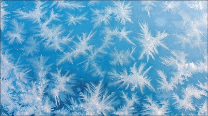Aufkleber - Frost forms delicate and intricate patterns on the window, enhanced by soft blue light, showcasing the beauty of nature's designs in a winter scene