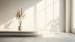 © ronal - Minimalist Interior with Sunlight and Plant