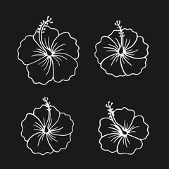 Wall Mural - Set of hibiscus flower. Hand drawn vector illustration in outline style.