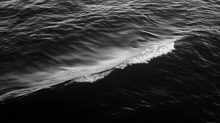 Fototapete - A solitary wave curling gracefully in the ocean, minimal details.