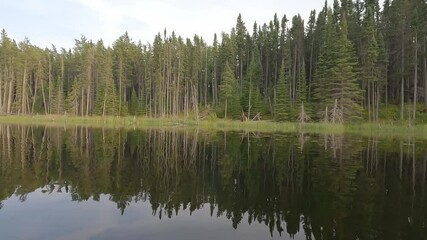 Wall Mural - View from the front of a canoe as it turns in a calm northern river treeline of evergreen trees and a perfect reflection