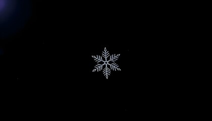 Wall Mural - snowflake is seen in the dark on a black background