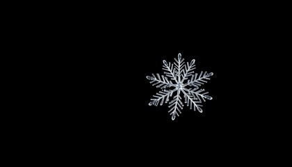 Wall Mural - snowflake is shown in the dark sky
