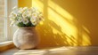 © SAQUEEN - White daisies in woven basket, sunlight