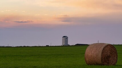 Wall Mural - as the first light of dawn crested the horizon, the sun rose gently over the open field, casting lon