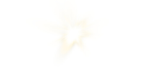 vector transparent sunlight with sun glare. overlay, sun rays and glare, sun, sunrays, light transit