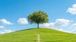 © bambang - A single, lush green tree stands atop a gentle, grassy hill. The hill is vibrant green, with a small path winding upward. A clear blue sky, dotted with fluffy white clouds, forms the backdrop. The i