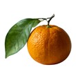 © Suria - Fresh Juicy Orange with Leaf on White Background
