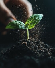 Poster - Eco-Conscious Growth Climate-Resilient Seedling in Dark Rich Soil - Sustainable Development and Green Innovation Stock Imagery for Environmental Campaigns