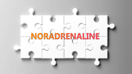 Leinwandbilder - Noradrenaline complex like a puzzle - pictured as word noradrenaline on a puzzle pieces to show that noradrenaline is complex and needs cooperating pieces that fit together. ,3d illustration