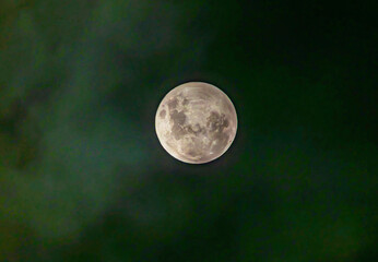 full moon in the night