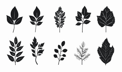 Wall Mural - minimalist forest leaf silhouettes vector set for logo design