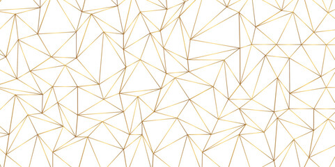 Leinwandbilder - Abstract geometric background with connecting dots and lines with low poly triangle shapes. Polygonal Mesh Background Vector design digital technology concept Global network connection data structure.