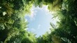 © Kwanhatai - Lush Tropical Rainforest Canopy with Bright Sky View Stunning Nature Background