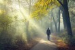 © kittikunfoto - Discover tranquility on a serene forest walk. Embrace nature's beauty, dappled sunlight, and peaceful paths for ultimate relaxation.
