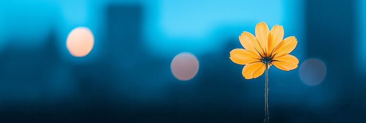 Poster - Close-up of a golden autumn daisy blooming proudly in the foreground, with a bustling cityscape of