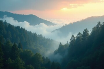 Wall Mural - Ethereal light filters through wispy clouds above misty forest, mist, cloud, peaceful