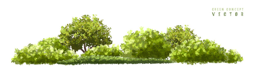 Wall Mural - vector watercolor green tree or forest side view isolated on white background for landscape and arch