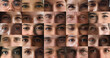 © fizkes - Collage view eyes of various multiethnic people differences in age, gender, skin tones, and complexion smiling, looking at camera, close up cropped front view shots. Human diversity and individuality