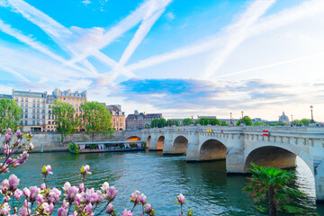 Wall Mural - bridge pont neuf and seine river at spring day, paris, france