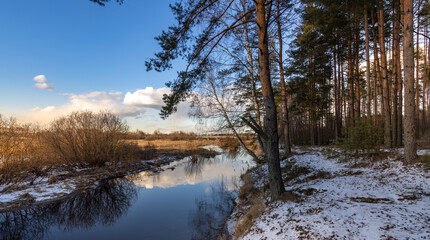Wall Mural - a snowy forest with a river running through it