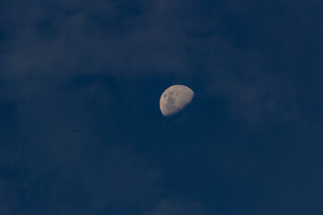 Wall Mural - the moon in the blue sky in the evening