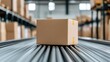 © MAKASIHMAS SIDNEY - A brown cardboard box moving along a conveyor belt in a modern warehouse, industrial setting with blurred background, and logistics and shipping concept.