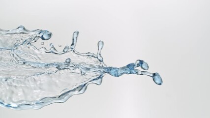 Wall Mural - super slow motion shot of water splash isolated on white background at 1000fps.
