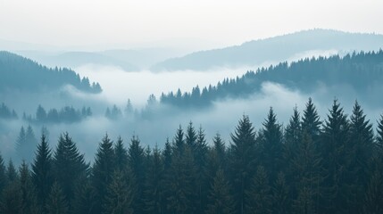 Naklejka na meble Misty mountain forest panorama; fog rolling through evergreen trees; scenic nature background for travel brochure