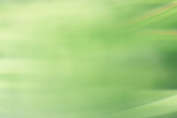 Wall Mural - spring light green blur background, glowing blurred design, summer background for design wallpaper