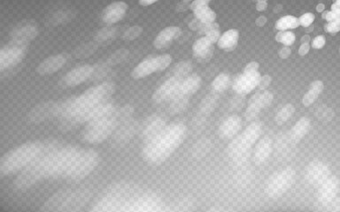 Wall Mural - abstract shadow overlay from foliage on a transparent background.