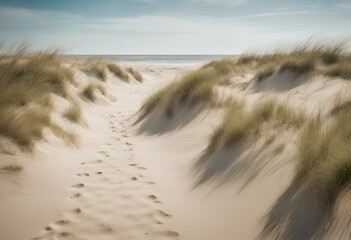 Wall Mural - sunny seascape dunes netherlands beach day noordwijk sandy beautiful sea destination blue romantic empty dune sky relaxation vacation summer background nature journey trip relax seacoast scenery tour