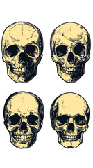 Wall Mural - minimalist hand-drawn human skulls vector illustration for graphic design and halloween
