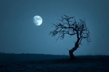 Wall Mural - Dead Tree Silhouetted Against Full Moon in Haunting Landscape  