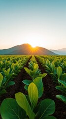 Poster - Sunrise Agriculture 0 Precision Farming Landscape with AI-Driven Green Technology, Sustainable Crop Innovation in Regenerative Ecological Systems