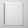 © NaturesRX - blank notebook on white background