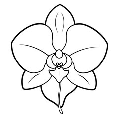 Aufkleber - Orchid Flower Coloring Book Page – Elegant Line Art Outline Drawing for Botanical Illustration