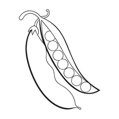 Aufkleber - Peas Coloring Book Page – Line Art Outline Drawing of Pea Pods and Seeds for Botanical Illustration